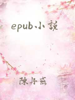 epub小说