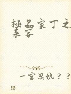 极品家丁之远方来客