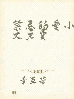 禁忌的爱小说全文免费