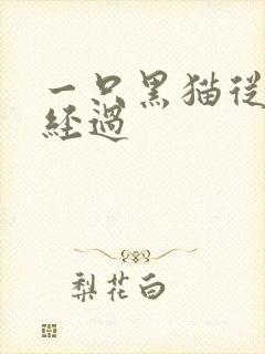 一只黑猫从眼前经过