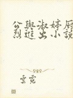 公与淑婷厨房猛烈进出小说