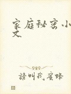 家庭秘密小说全文