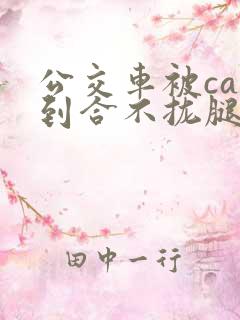 公交车被cao到合不拢腿视频