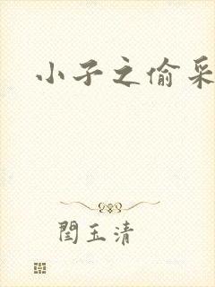 小子之偷采双圣