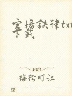 官场铁律txt下载