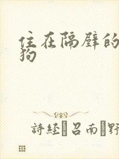 住在隔壁的小狼狗