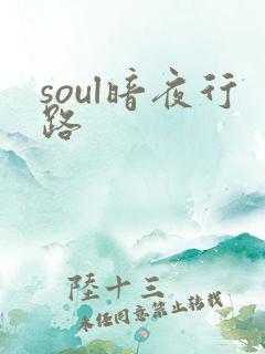 soul暗夜行路