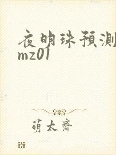 夜明珠预测 ymz01