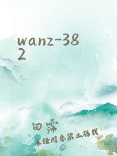 wanz-382