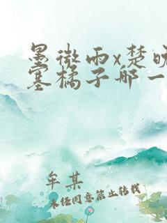 墨微雨x楚晚宁塞橘子哪一章