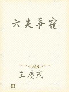六夫争宠