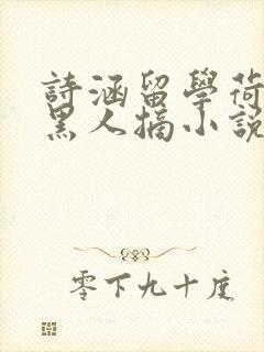 诗涵留学荷兰被黑人摘小说