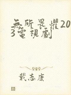 无所畏惧2023电视剧