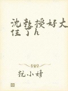 沈教授好大含不住了h