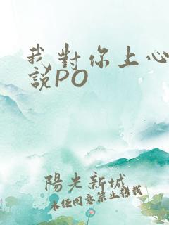 我对你上心了小说PO