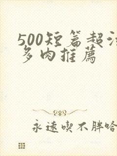 500短篇超污多肉推荐