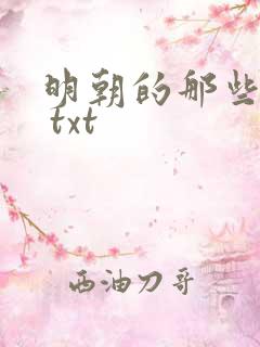 明朝的那些事儿 txt