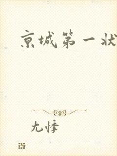 京城第一状师