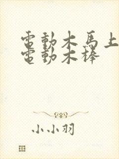 电动木马上两个电动木棒