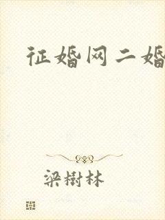 征婚网二婚