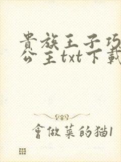 贵族王子巧遇穷公主txt下载