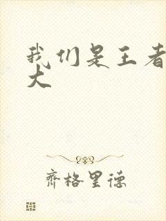 我们是王者立海大