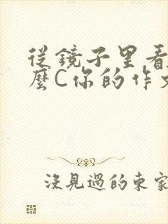 从镜子里看我怎么C你的作文