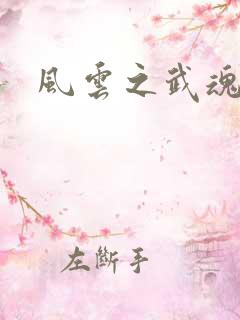 风云之武魂