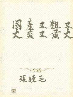 国产又粗又猛又大爽又黄大爷