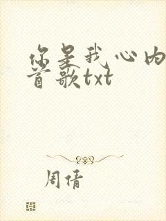 你是我心内的一首歌txt