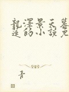 龙泽景天慕容青莲的小说免费阅读