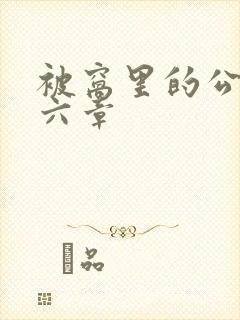 被窝里的公息十六章