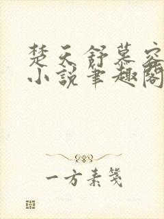 楚天舒慕容江月小说笔趣阁