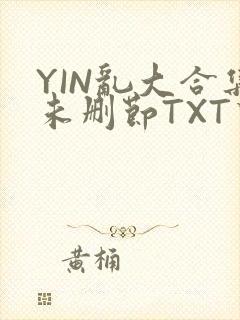 YIN乱大合集未删节TXT下载