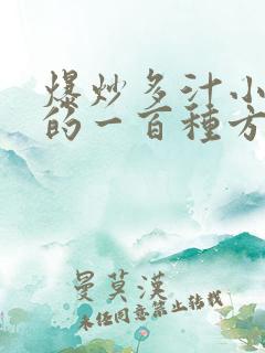 爆炒多汁小美人的一百种方法