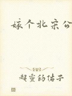 嫁个北宋公务员