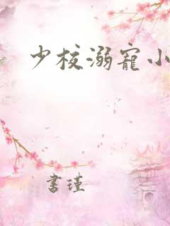 少校溺宠小小妻