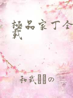 极品家丁全集下载