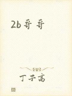 2b哥哥