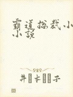 霸道总裁小娇妻小说