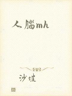 人脑mh