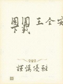 团圆 王全安 下载