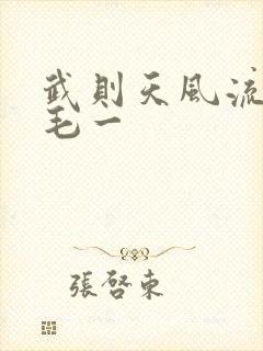 武则天风流艳情毛一