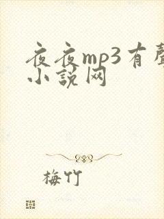 夜夜mp3有声小说网