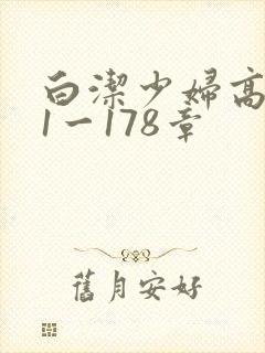 白洁少妇高义第1一178章