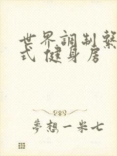 世界调制系统模式 健身房