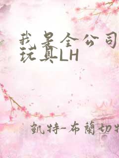 我是全公司发泄玩具LH