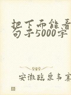 把下面能看湿的句子5000字