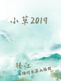 小草2019