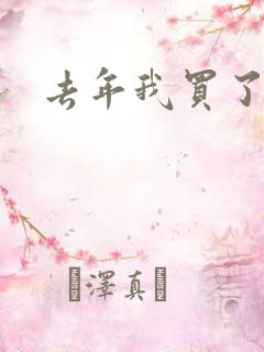 去年我买了个表